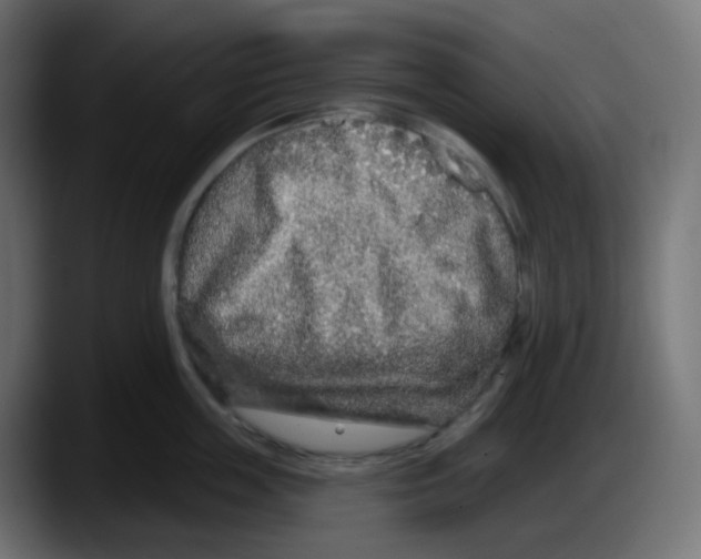 X0000087570859200705251819