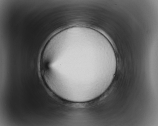 X0000087570861200705251819