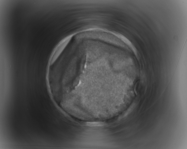 X0000087570863200705251819