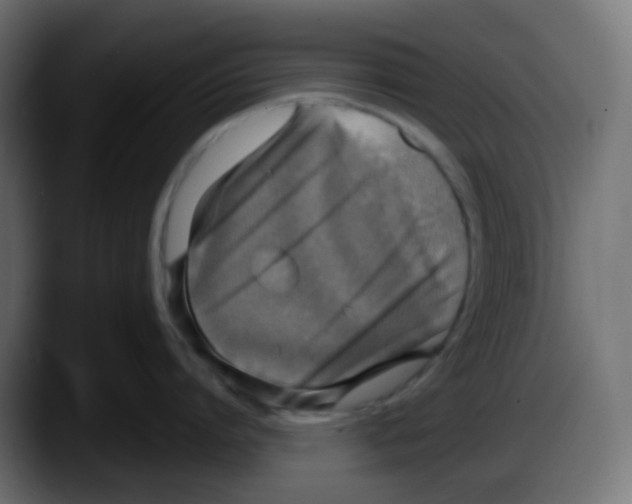 X0000087570864200705251819