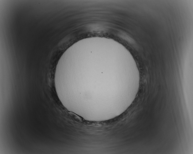 X0000087570869200705251818