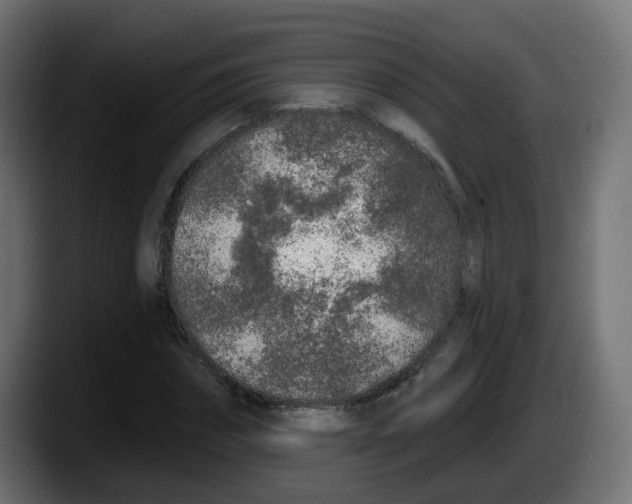 X0000087570874200705251818