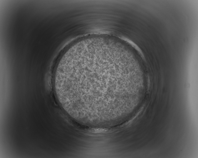 X0000087570878200705251818