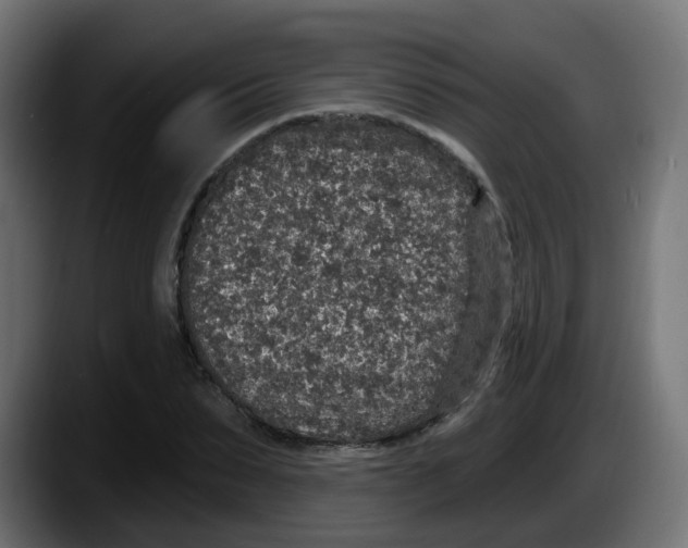 X0000087570879200705251818