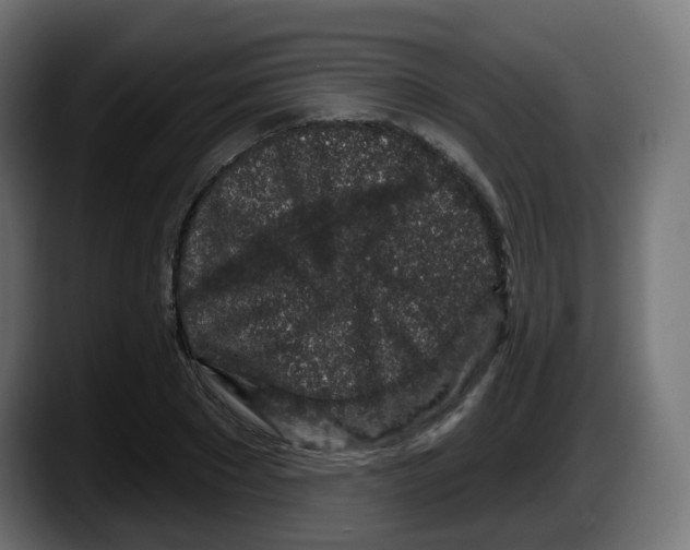 X0000087570881200705251818