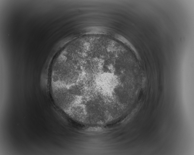 X0000087570882200705251818