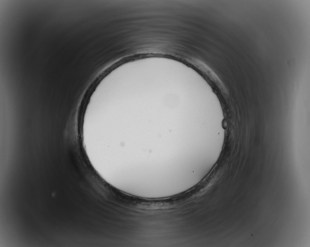 X0000087570884200705251818