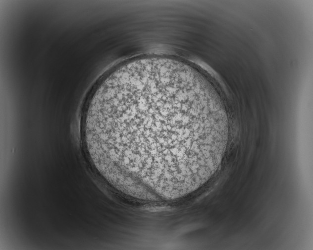 X0000087570886200705251818