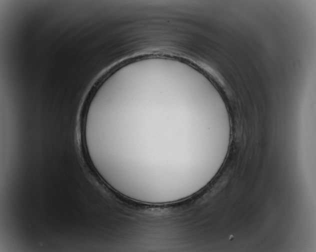 X0000087570888200705251818