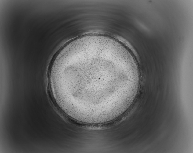 X0000087570890200705251818