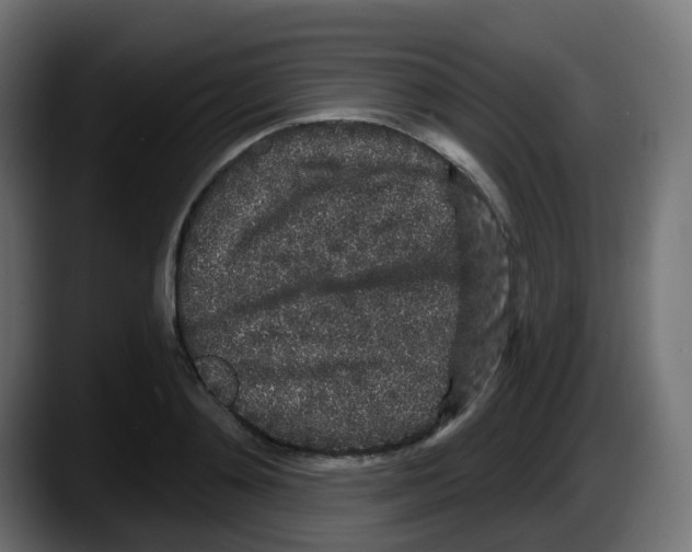 X0000087570892200705251818