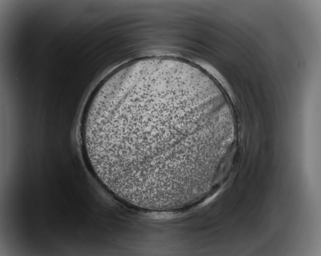 X0000087570893200705251818