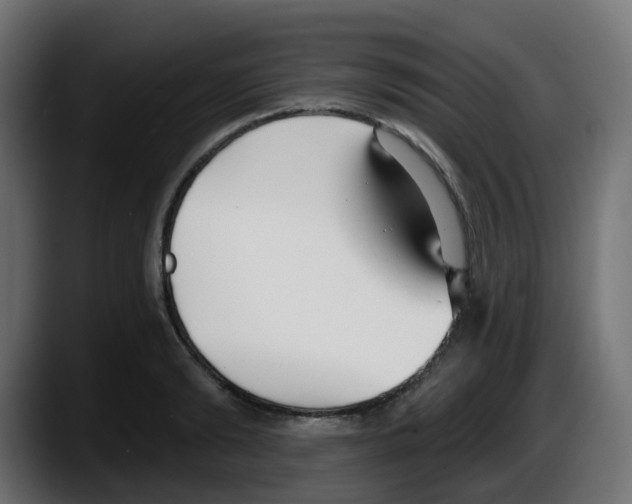 X0000087570894200705251818