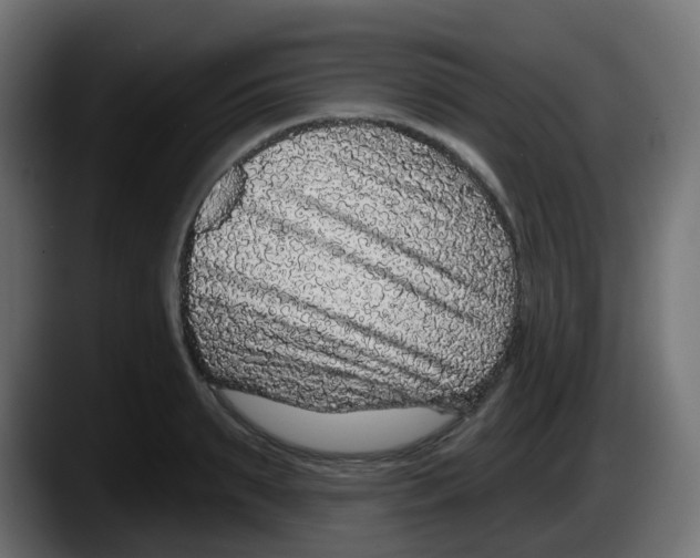 X0000087570895200705251818