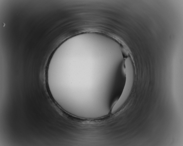 X0000087570898200705251818