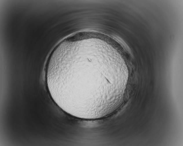 X0000087570900200705251818