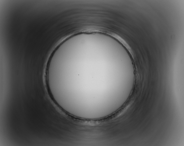 X0000087570901200705251818