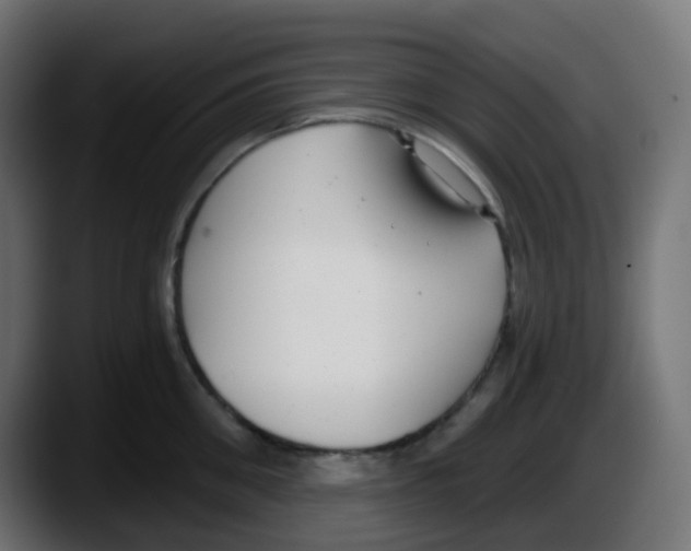 X0000087570906200705251818