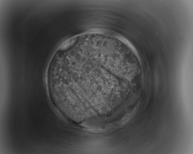 X0000087570907200705251818