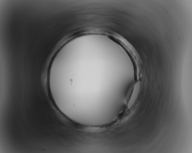 X0000087570909200705251818