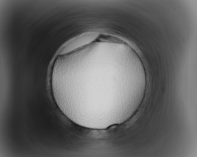 X0000087570912200705251818