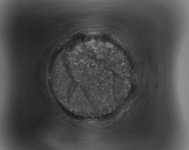 X0000087570913200705251817