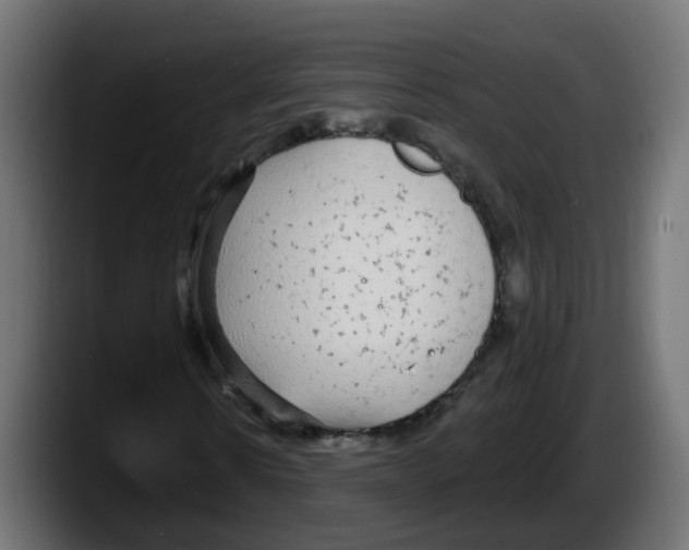 X0000087570914200705251817