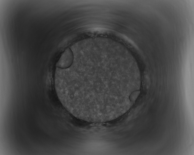 X0000087570918200705251817