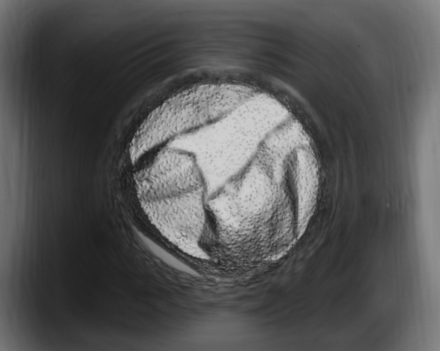 X0000087570919200705251817