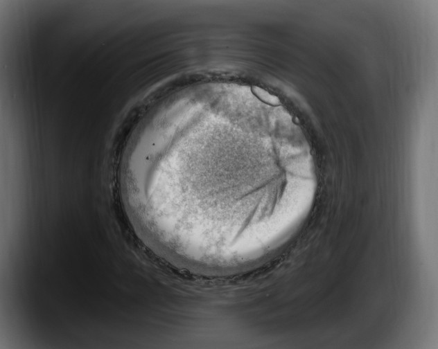 X0000087570920200705251817