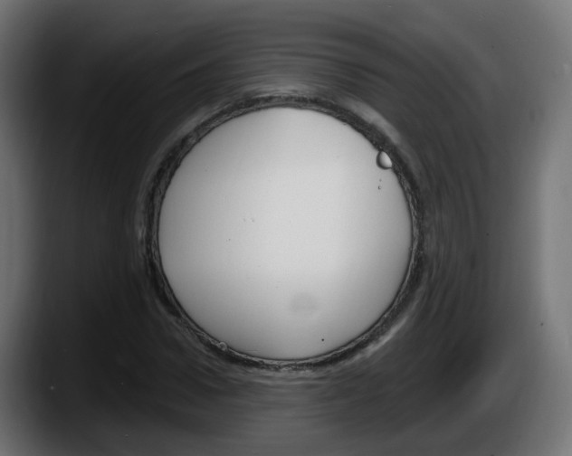 X0000087570922200705251817