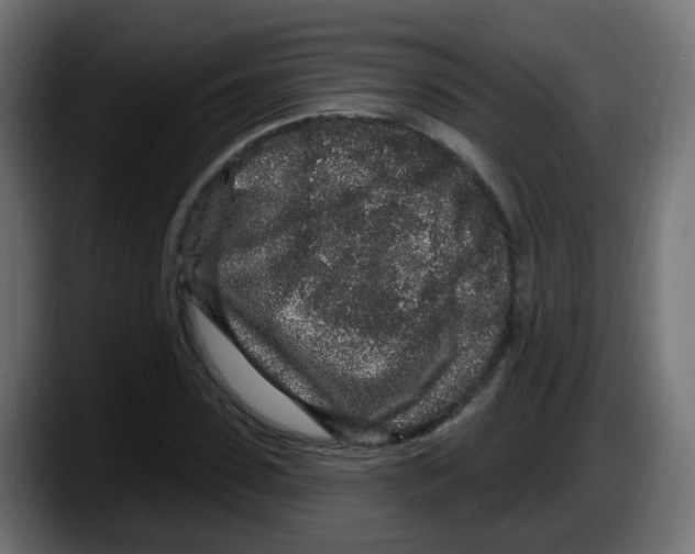 X0000087570923200705251817