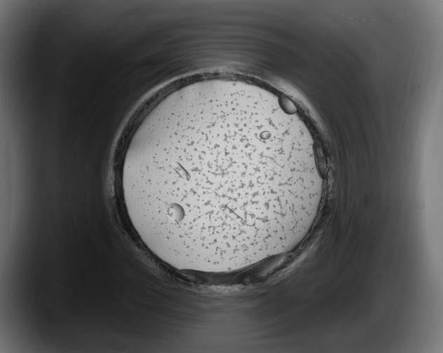 X0000087570924200705251817