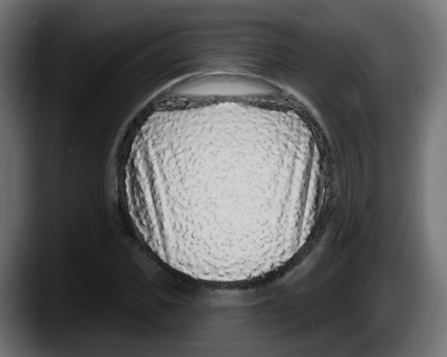 X0000087570925200705251817