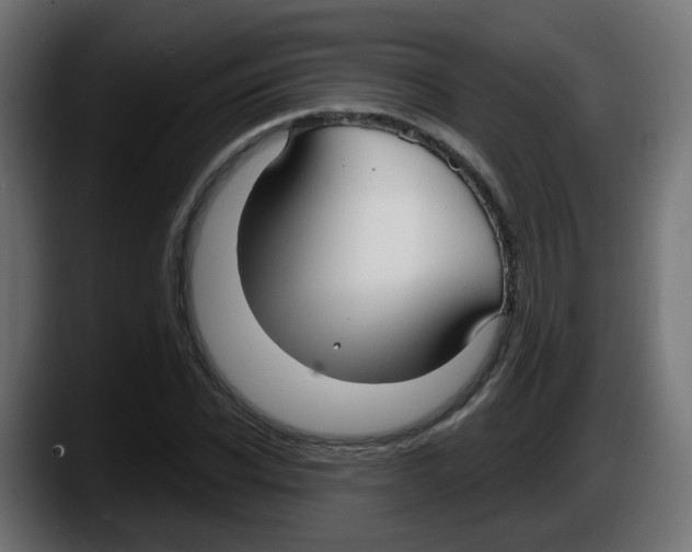 X0000087570926200705251817