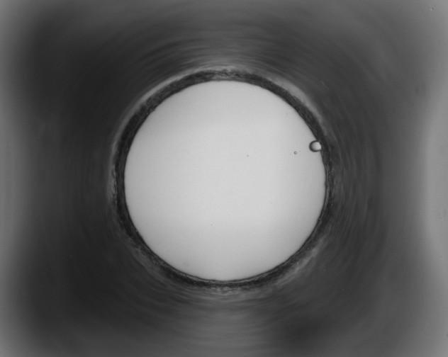 X0000087570927200705251817