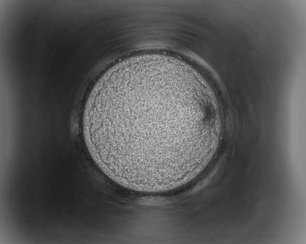 X0000087570929200705251817