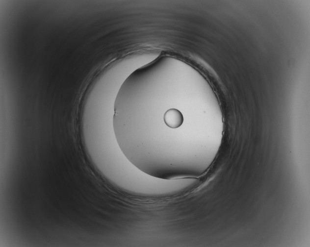 X0000087570930200705251817