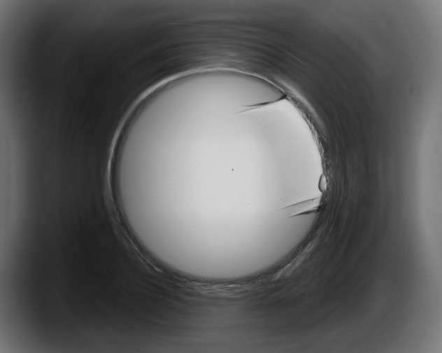 X0000087570932200705251817