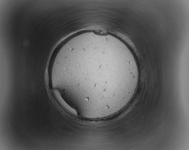 X0000087570936200705251817