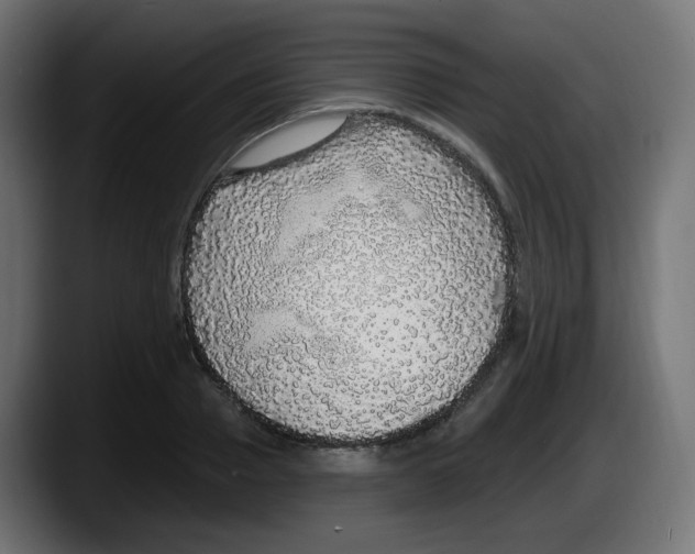 X0000087570937200705251817