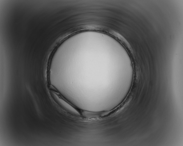 X0000087570938200705251817