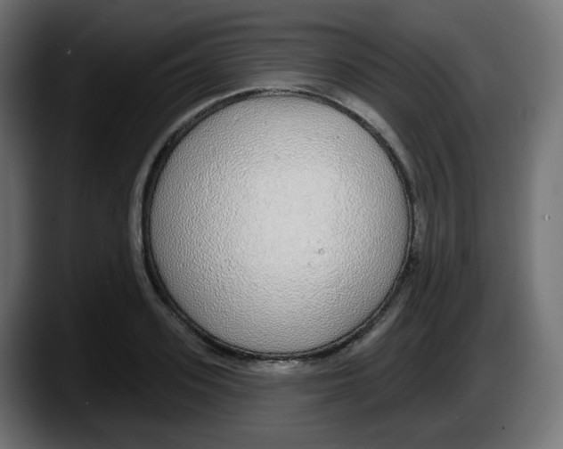 X0000087570939200705251817