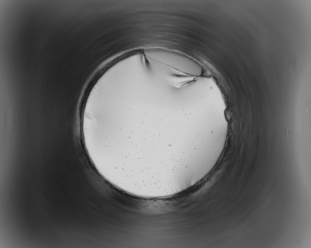 X0000087570940200705251817