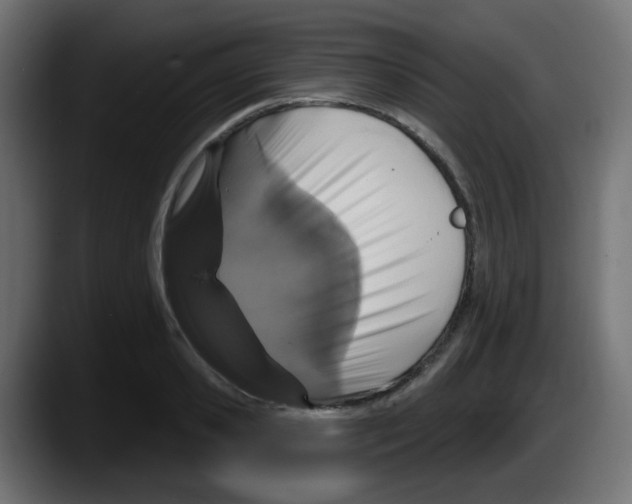 X0000087570941200705251817