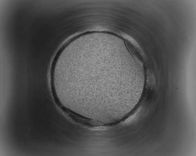 X0000087570942200705251817