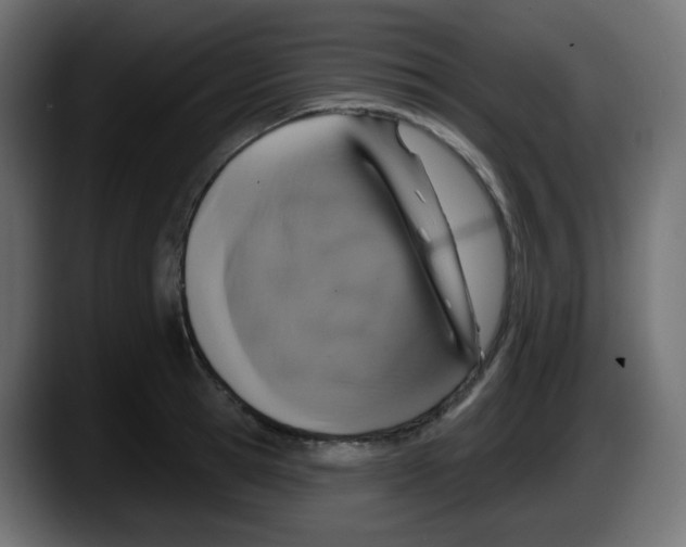 X0000087570945200705251817