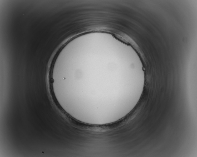 X0000087570947200705251817