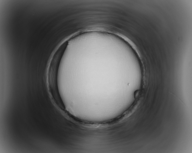 X0000087570949200705251817