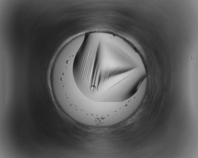 X0000087570950200705251817